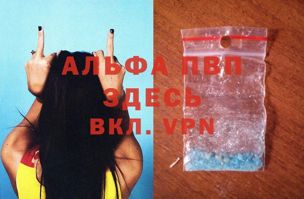 спиды Михайлов