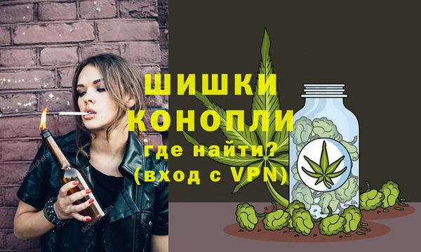 ГАЛЛЮЦИНОГЕННЫЕ ГРИБЫ Медвежьегорск