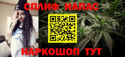 гашик Кимры