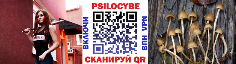 Галлюциногенные грибы мухоморы Тобольск