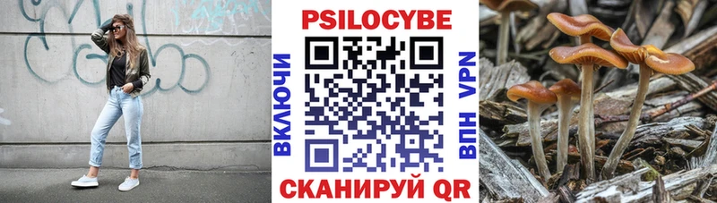 Галлюциногенные грибы Psilocybe  Тобольск 